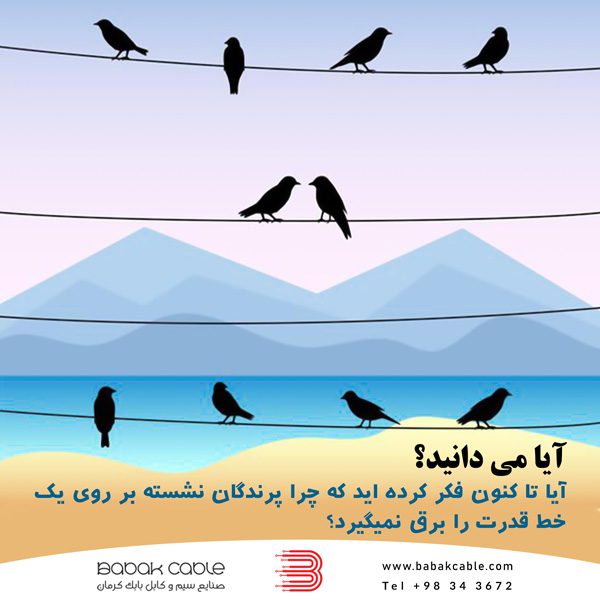 چرا پرندگان نشسته بر روی یک خط قدرت را برق نمیگیرد؟صنایع سیم و کابل بابک کرمان